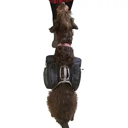 Рюкзак для собак Ultimate Direction Dog Vest Black M (1012-80469820-BK-M) - мініатюра 6