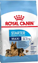 Сухий корм Royal Canin Maxi Starter для щенят великих порід до 2 місяців 4 кг (3182550778770)