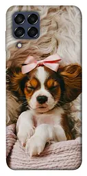 TPU чохол Demsky Sleepy spaniel для Samsung Galaxy M33 5G
