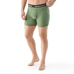 Труси чоловічі Smartwool Men's Merino Boxer Brief Boxed S Оливковий