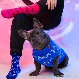 Светр для собак FAMILY LOOK без рукавів з написами FOR YOU, рожевий FB2 Is Pet zoo0005817 - мініатюра 5
