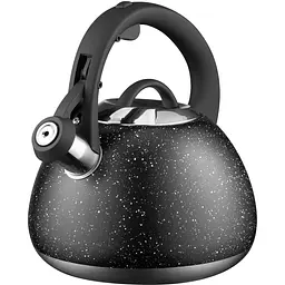 Чайник Ardesto Gemini 2.5 л нержавіюча сталь