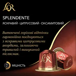 Кава мелена в капсулах L'OR Espresso Splendente #7 30 капсул (8711000547373) - мініатюра 3