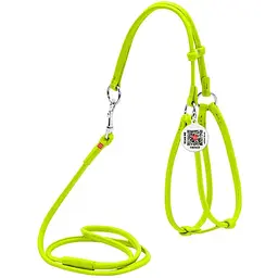 Шлея з повідцем для собак Waudog Glamour, шкіряна, кругла, з QR паспортом, 42-60х46-64х0,6/105 см, салатовий (34025)