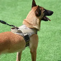 Шлея для собак Hong, тактичний жилет з ручкою, M, Чорний Піксель - мініатюра 6