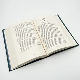 Незриме життя Адді Лярю - Вікторія Шваб | Книголав, книга українською, нова, тверда - мініатюра 4