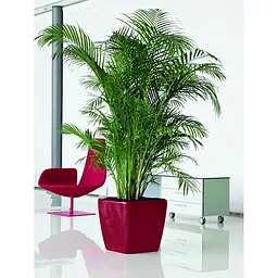 Вазон Lechuza Quadro Premium LS 21 червоний (16127) - мініатюра 7