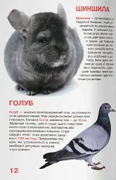 Велика книжка. Свійські тварини - - мініатюра 5