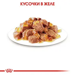 Уцінка. Набір вологого корму для дорослих стерилізованих котів Royal Canin Sterilised in Jelly шматочки в желе 1.02 кг (12 шт. х 85 г)  - мініатюра 4