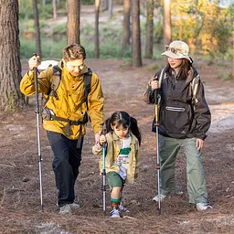 Трекінгова палиця 3-сек. Naturehike Men ST 01 6061 AL NH17D001-Z алюміній золотиста - мініатюра 7