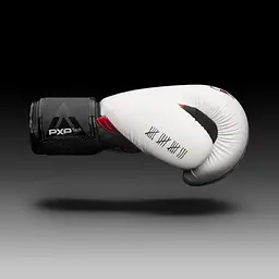 Боксерські рукавички Phantom 16 унций fit0011734 - мініатюра 6