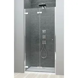 Душові двері Radaway Arta DWB 100 см 386152-03-01L