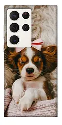 TPU чохол Demsky Sleepy spaniel для Samsung Galaxy S23 Ultra