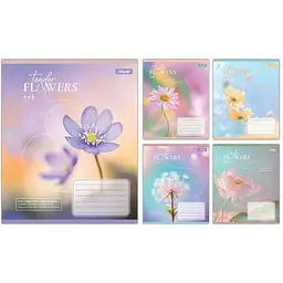 Зошит 1 Вересня A5 36 арк. лінія 1В Tender Flowers (768079)