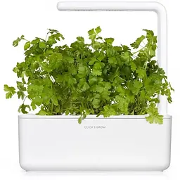 Змінний картридж Click & Grow Smart Garden Петрушка, 3 капсули (7359) - мініатюра 3