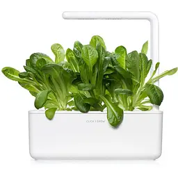 Змінний картридж Click & Grow Smart Garden Салат Ромен, 3 капсули (8820) - мініатюра 5