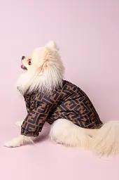 Куртка для собак Fendi з теплою підкладкою на застібці XS - мініатюра 2