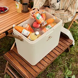Туристичний холодильник Naturehike CNK2300BS011, 33 л, бежевий - мініатюра 4