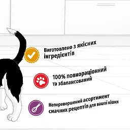 Сухий корм Felix Doubly Delicious для дорослих котів з лососем, океанічною рибою та буряком 10 кг - мініатюра 8