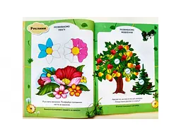 Книга Тести 2+ з наліпками, Пегас (укр.) - мініатюра 4