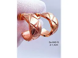 Сережки Stainlees Steel 842