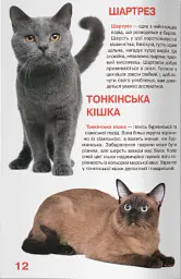 Велика книжка. Кішки - Олег Зав'язкин - мініатюра 5