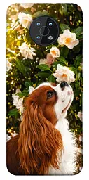 TPU чохол Demsky Flower spaniel для Nokia G50