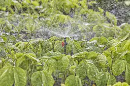 Мікронасадка Gardena Micro-Drip-System секторна 360°, 5 шт (13322-20) - мініатюра 3