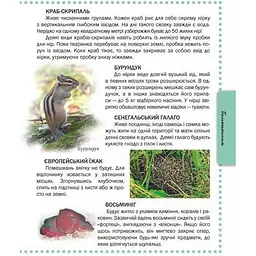 Енциклопедія для допитливих Талант Тварини - Жабська Т. С. (9786176950264) - мініатюра 7