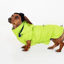 Вітровка для такс Hat-Dog неон (XS/Хлопчик) - мініатюра 3