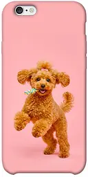 TPU чохол Demsky Happy poodle для Apple iPhone 6/6s plus (5.5")
