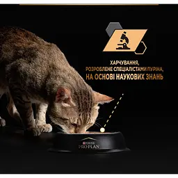 Вологий корм для домашніх дорослих котів Purina Pro Plan Adult Indoor з лососем 85 г (12457618) - мініатюра 6