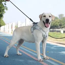 Нагрудна шлея для собак Reflective safety chest harness for pet dogs, S Рожевий - мініатюра 2