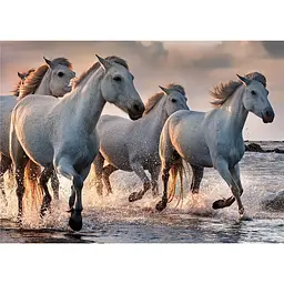 Пазли тришарові Interdruk Horses 4, 1000 шт. (384997) - мініатюра 2