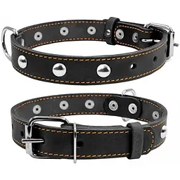 Нашийник Collar одинарний з прикрасами, 32-40х2 см, чорний