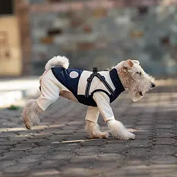 Зимова куртка для собак V.PET.B.R. Luxury Dog Jacket C519 Black&Cream - мініатюра 7