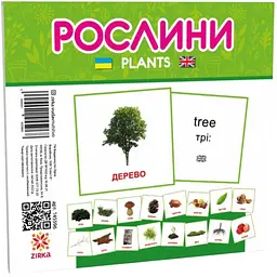 Розвиваючі дитячі картки  Zirka Рослини  українською та англійською мовами 145596 