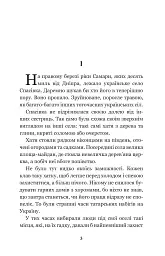 За сестрою - Андрій Чайковський - мініатюра 3