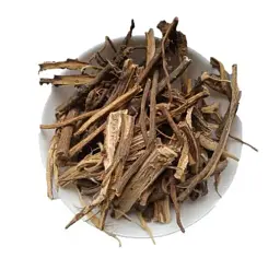 Лопух Корінь Репях Репяшник Дідовник Arctium lappa