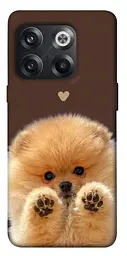 TPU чехол Demsky Spitz on the screen для OnePlus 10T