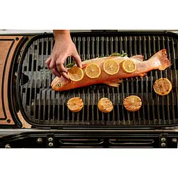 Гриль газовий Weber Traveler чорний (9010075) - мініатюра 7