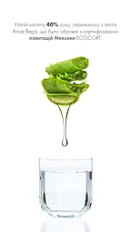 Рослинний напій Farmasi Nutriplus Алое з манго 450 мл - мініатюра 5