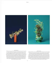 Flora Photographica - мініатюра 8