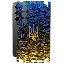 Защитная пленка StatusSKIN для Samsung Galaxy S24 SM-S921 Корпус Винил Герб 2