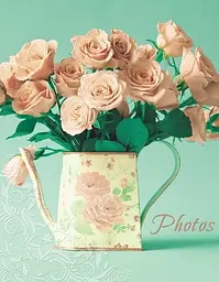 Фотоальбом UFO 10x15x200 PP-46200 Turquoise Rose