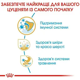 Сухий корм для цуценят породи Золотистий Ретрівер Royal Canin Golden Retriever Puppy, 12 кг (39791201) - мініатюра 5