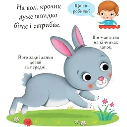 Книжка-картонка Богдан Хто це? Кролики - Бомон Емілія та Беліно Наталя (978-966-10-5139-2) - мініатюра 2