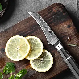 Ніж для чищення овочів Damascus DK-EK 2008 VG-10 9 см Дамаська сталь 67 шарів - мініатюра 5