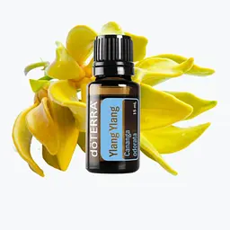 Ефірна олія іланг-іланг doTERRA Ylang Ylang,15 мл - мініатюра 2