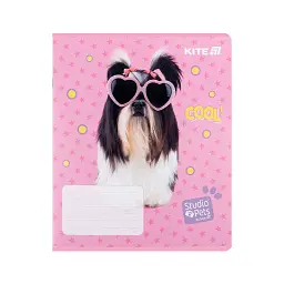 Зошит Kite Studio Pets, 12 аркушів, лінія (SP25-234) - мініатюра 10